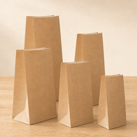 Sac en papier kraft à fond plat sans poignée, autoportant, blanc, doublé, pour boulangerie, plats à emporter, café, épicerie, vente au détail, emballage alimentaire