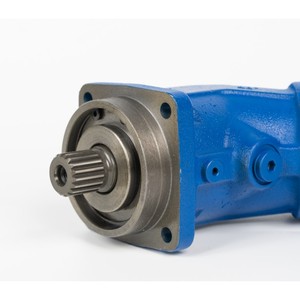 <span class=keywords><strong>A2fo</strong></span> a2f012/61l-pab06 trục piston bơm cố định a2f016/61r-vbb06 bơm cố định a2f016/61r-vbb06 - Product Image 6