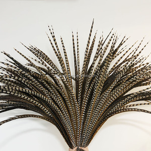 Plumes de queue de faisan naturelles Reeves Venery, 140 cm de long, pour usage décoratif, mariages, artisanat, costumes, fêtes, carnaval, haute qualité - Product Image 5
