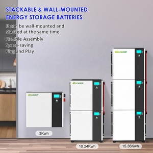 Stock UE batterie de secours à domicile 51.2V 100AH 5KWH modèles muraux batterie au Lithium pour 48V hybride hors réseau - Product Image 3