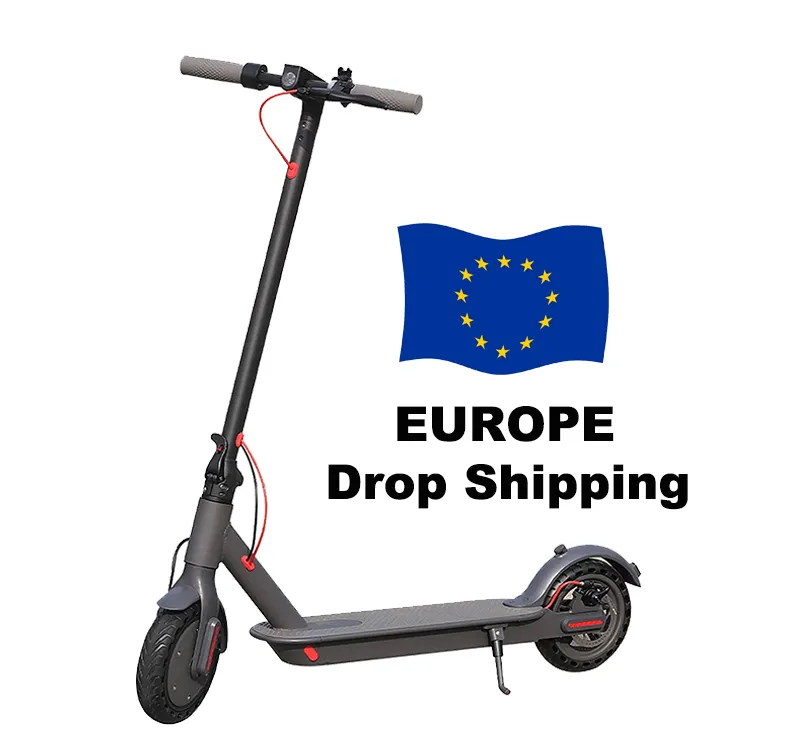 New wholesale 36v 250w brushless motor dubai ruckus retro self-balancing stand up adults chopper electric e scooter escooter
