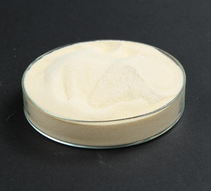 Gélatine en poudre halal avec certificat ISO HACCP MUI, différents degrés de fleurissement, crème, chewing-gum - Product Image 3