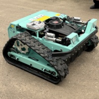 Cortadora de Césped Mini Crawler con Certificación CE y E, Elevación Manual, 9HP, para Invernaderos, Granjas, Aeropuertos, Patios Traseros y Sitios de Recuperación