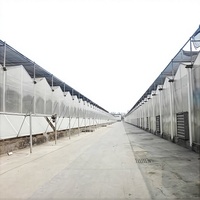 Serre agricole polyvalente Venlo multi-travées en polycarbonate avec grande couverture en plaques PC pour culture hydroponique