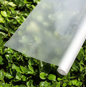 <strong>Frosted</strong> <strong>Film</strong> for Door Window of Privacy for Bathroom Office Glass <strong>Film</strong> - Product Image 5