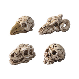 Mini-têtes de crâne d'oiseau coréen en résine, figurines miniatures de squelettes en résine pour micro-paysages, plantes et décorations d'Halloween - Product Image 5
