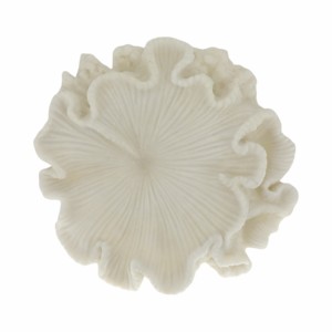 Quartz Resin Shell Decorative Bowl Modern Centerpiece Table Decor Bookshelf Styling - Product Image 6