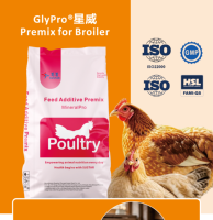 Prémélange de vitamines et de minéraux pour poulets, oies, canards – Additifs alimentaires pour animaux, stimulateur de croissance pour poulets de chair, prémélanges pour volailles