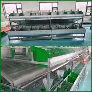 กรงกระต่ายสองแถวชุบสังกะสีแบบจุ่มร้อนติดกับบ้านกระต่าย2ชั้น16เซลล์ - Product Image 6