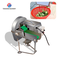 Kleine Soort Fruit Bladgroenten Groente Lente Ui Groene Peper Slicer Cutter Dicer Versnipperen Snijden Dicing Snijmachine (TS-Q30)