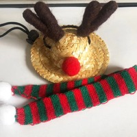 Fournitures pour animaux de compagnie en gros, costume de Noël festif pour dragons barbus |   Chapeau de renne et écharpe rayée | Tenue de vacances ajustable