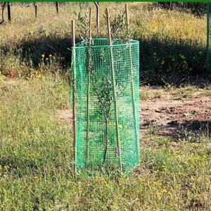 Rouleau de clôture en plastique vert 40 cm x 3 m, <span class=keywords><strong>grillage</strong></span> en plastique pour volailles, poulets, chiots, lapins, clôture florale en plastique - Product Image 5