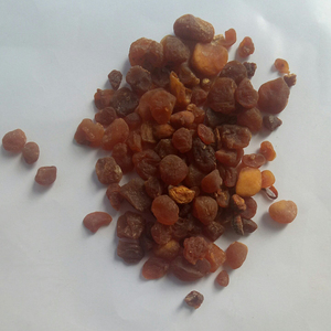 Rizoma Entero Natural de <span class=keywords><strong>Tu</strong></span> Bei <span class=keywords><strong>Mu</strong></span> (Bolbostemma Paniculatum) en Venta - Product Image 5