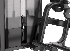 Machine de musculation abdominale et dorsale 2-en-1 pour salle de sport professionnelle – Équipement d'entraînement de la force du tronc – Vente directe usine - Product Image 6