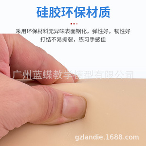 Module de suture cutanée simulant la peau humaine ; modèle d'entraînement à l'incision et à la suture des muscles profonds ; pratique de l'incision et de la suture chirurgicales. - Product Image 4
