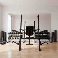Équipement de musculation portable et écologique pour la maison, banc de musculation Excel, support pour haltères, support pour squats, banc de musculation en métal, modèle d'entraînement
