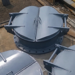Clapet à charnière latérale en acier inoxydable, économie d'énergie, clapet anti-retour, clapet d'extrémité de tuyau, sortie d'eaux usées - Product Image 3