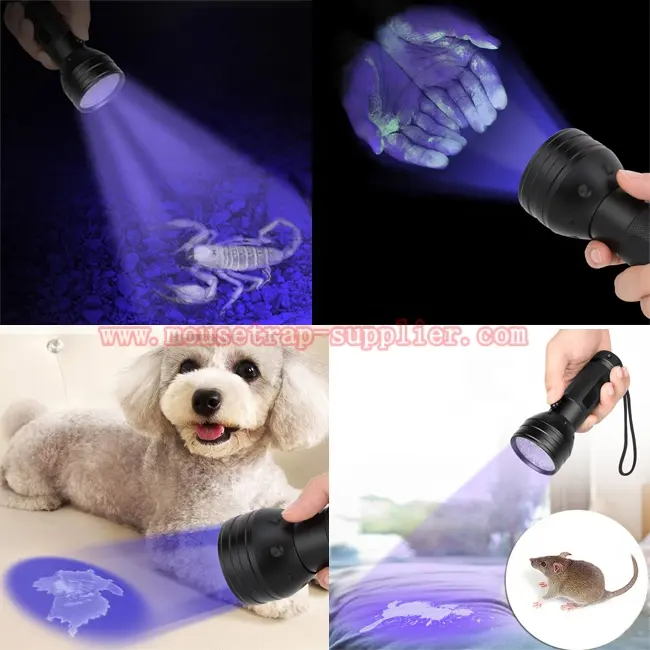 Détecteur de lumière UV Urine d'animal familier Lampe de poche LED Scorpion Traqueur de rongeurs nuisibles