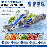 Fruit- en groentewasmachine met continue luchtbelletjes voor de verwerking van verse producten in de voedselverwerkingslijn