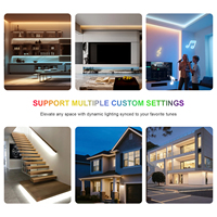Contrôleur LED intelligent IoT SP522E PWM CCT mini double mode avec contrôle vocal via APP, synchronisation musicale filaire, haut-parleur 2 canaux, prise en charge DC5-24V, garantie 5 ans