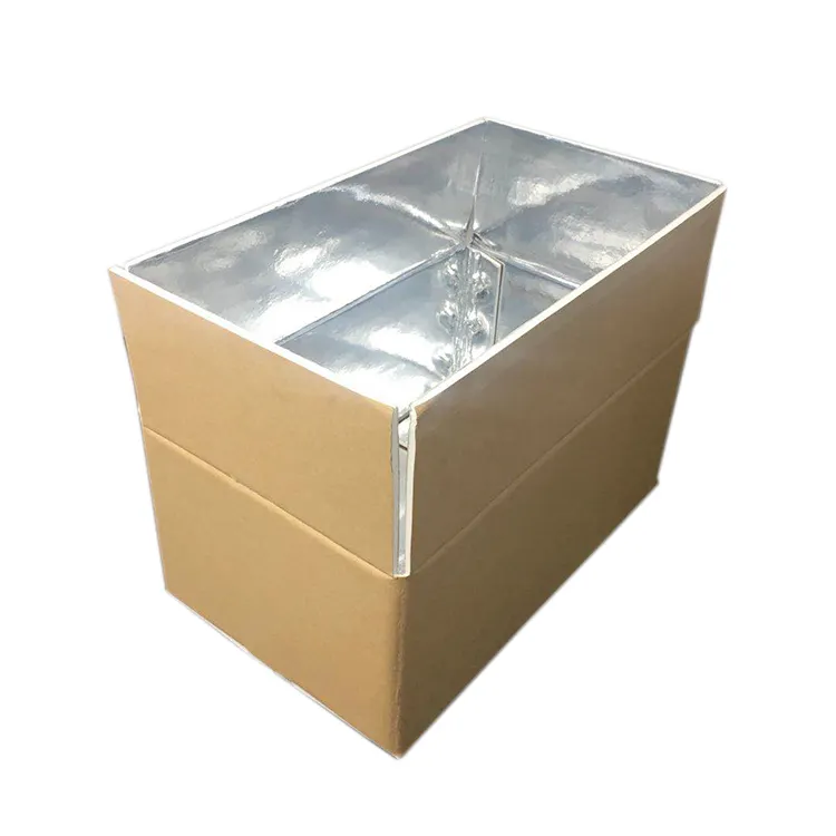 Thermisch Geïsoleerde Aluminium Folie Epe/Eps Schuim Verzending Kartonnen Doos Voor Bevroren Voedsel Vis Groenten
