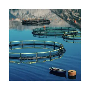 Hdpe aquicultura gaiola net flutuante peixe gaiola net peixes agricultura redes