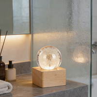 Lampe décorative premium en forme de boule de cristal avec fleur de pissenlit préservée, veilleuse à commande tactile, base en bois, alimentation USB, idéale pour un cadeau
