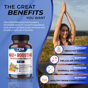 7 ב 1 nad + תוספת ניקוטינאמיד ribbosside raveratrol קוורצטין חלב thistle nad קפסולות תמיכה אנרגיה תאית - Product Image 4