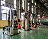 Générateur de vapeur industriel vertical entièrement automatique à haute température 200 kg, alimenté au mazout ou au gaz, pour usine