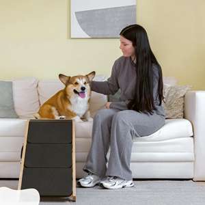 Rampa para perros de altura ajustable, sofá 2 en 1 para perros, cama para escaleras, sofá, plataforma de tacón Natural para perros pequeños, accesorio fácil para mascotas - Product Image 3