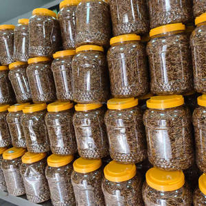Gusanos de harina secos Paquete al vacío <span class=keywords><strong>200g</strong></span> Alimentos frescos para mascotas para tortugas de peces de acuario - Product Image 5