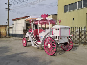 Carroza de Boda Eléctrica Estilo Princesa Europea, Diseño de Calabaza, Venta Directa de Fábrica - Product Image 6