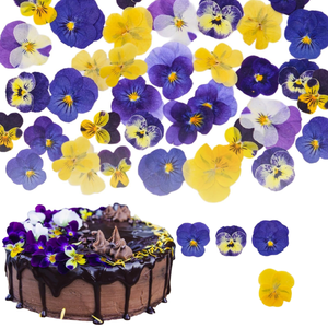 Kit Fai-da-te per Incisione con Fiori Secchi Daisy e Primrose all'Ingrosso, Adesivi per Cornici con Esemplari Vegetali, Fiori Pressati - Product Image 1