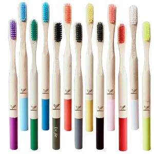 Ramah lingkungan disesuaikan 11 warna bulu Cepillo De Dientes Biodegradable pegangan bulat sikat gigi Bambu dewasa