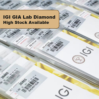 Diamante Cultivado en Laboratorio con Certificación IGI, Corte Excelente, 1CT 2CT 3CT, VVS VS CVD HPHT, Venta al Por Mayor