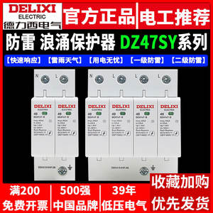 Delixi DZ47Y-10KV อุปกรณ์ป้องกันไฟกระชาก220V ที่ป้องกันไฟกระชากพร้อมสวิตช์4P 2P 380V สำหรับอุปกรณ์ป้องกันไฟกระชาก - Product Image 4