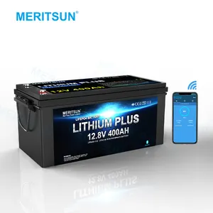 可充电深循环Lifepo4锂电池12V 100ah带应用程序控制