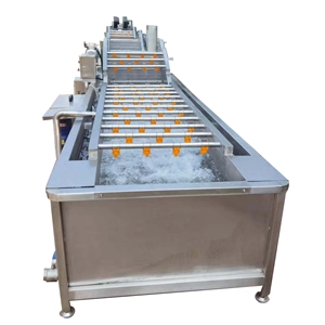 Lavatrice Industriale Commerciale per Frutta e Verdura con Nastro Trasportatore e Sistema a Bolle per Zenzero - Product Image 6