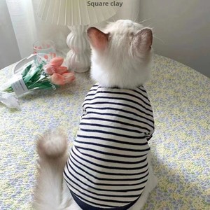 Sudadera de Algodón Sólido con Dibujos Animados de Invierno para Perros y <span class=keywords><strong>Gatos</strong></span>, Ropa para Mascotas de Dos Patas para las Cuatro Estaciones, Británico de Pelo Corto, Ragdoll, Venta al por Mayor - Product Image 5