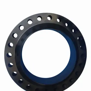 Weld neck flange dn700 dn80 pn6 pn40 jis ss400 forging