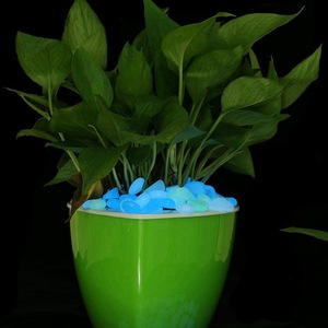 Ciottoli Luminosi, Sassi Colorati Fluorescenti, Rocce che si Illuminano al Buio - Product Image 4