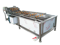 Hogedruk Fruit En Blad Groente Bubbel Wasmachine Sla Gember Vibrerende Ontwatering Machine Wind Blower Droger