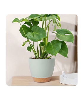 <span class=keywords><strong>Pot</strong></span> de fleur en résine plante verte balcon extérieur <span class=keywords><strong>pot</strong></span> en plastique fournitures de jardin décorations mini jardinière - Product Image 3