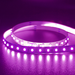 Tùy chỉnh chuyên nghiệp pixel LED Đèn vành đai bán buôn DC 12V 24V IP20 192LED/m 15 Wát SMD 2835 chạy thông minh LED Strip ánh sáng cho xe - Product Image 1