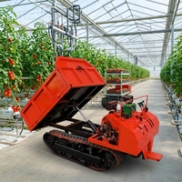 Mini-dumper sur chenilles auto-chargeur de 800 kg à chargement direct d'usine avec benne rotative pour projets agricoles