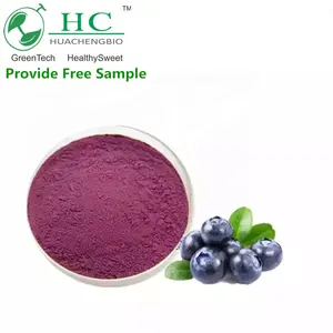 Blueberry High Quality Blueberry Extract Blueberry Extract Powder