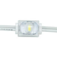 Module LED économique mini 12/24V IP67 en matériau PC 175LM avec télécommande