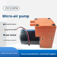 Pompe à diaphragme électrique DC AC Machine d'emballage Micro pompe d'extraction d'air Équipement médical de beauté Pompe à vide basse pression