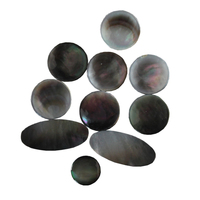 Saxophone Finger Button Pearl Real Grey Shell Sax Mother of Pearl Key Button