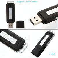 Grabadora de Voz y Sonido Portátil, Mini Memoria USB con Cuerpo Metálico, Capacidad de 1GB/2GB/4GB, Interfaz USB 2.0